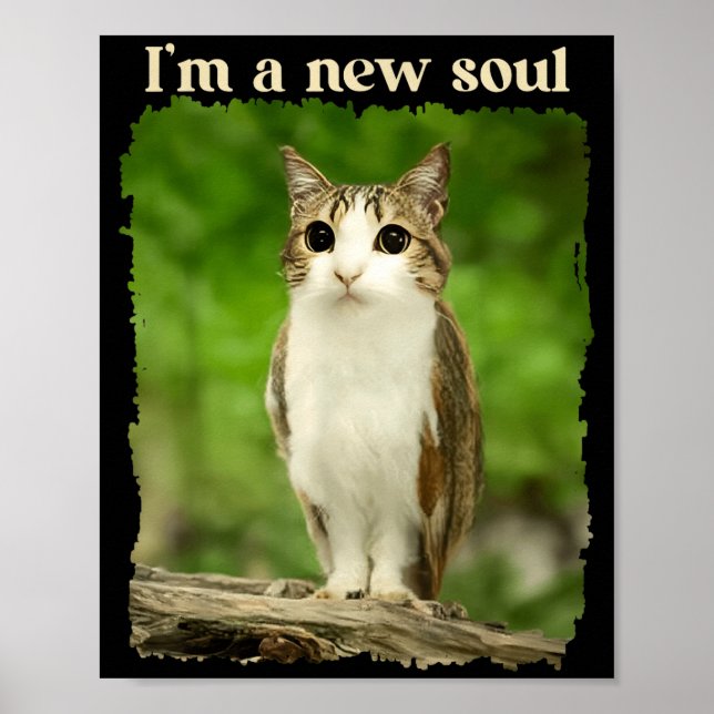 Póster Funny Meowl Meme, Cat Owl Meme Brainrot Gen Alpha  (Frente)