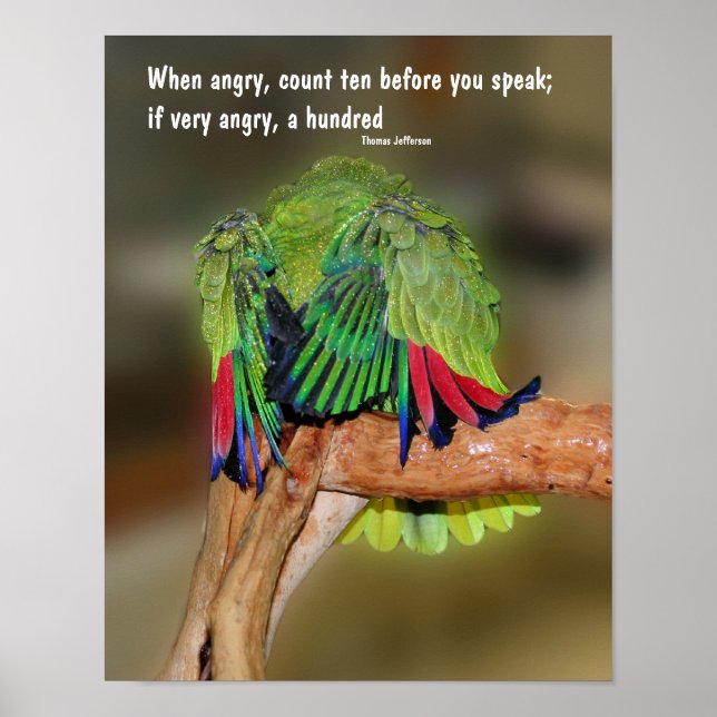 Póster Funny Parrot Anger Cita Inspiradora (Frente)