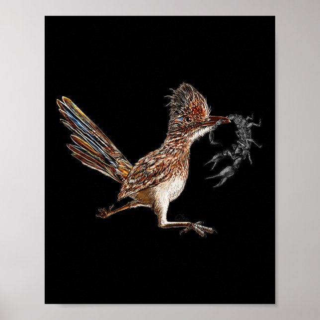 Póster Funny Roadrunner Scorpion Road Runner Bird Hunter (Frente)
