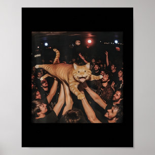 Póster Funny Rock Show Cat Meme Cute Tabby Kitten Crowd S