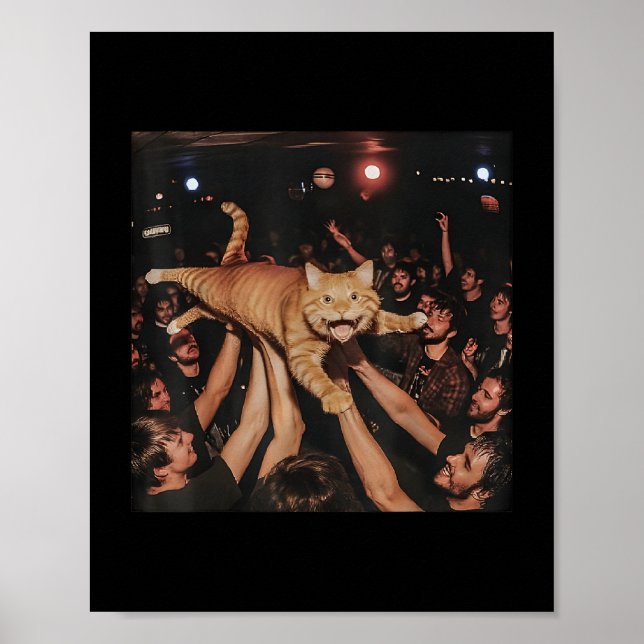 Póster Funny Rock Show Cat Meme Cute Tabby Kitten Crowd S (Frente)
