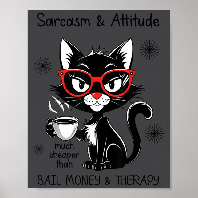 Póster Funny Sarcastic Rude Sayings Sarcasm And Attitude  (Frente)