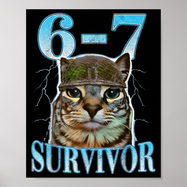 Póster Funny Saying 67 Cats Tummy Ache Survivor Cat Meme  (Frente)