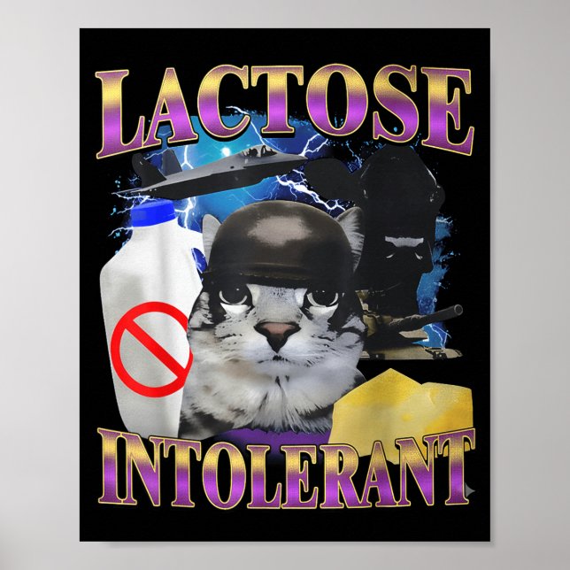 Póster Funny Saying Lactose Intolerant Silly Cat Meme Cat (Frente)