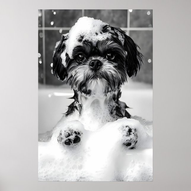 Póster Funny Shih Tzu Bubble Bath Photograph, Dog (Frente)