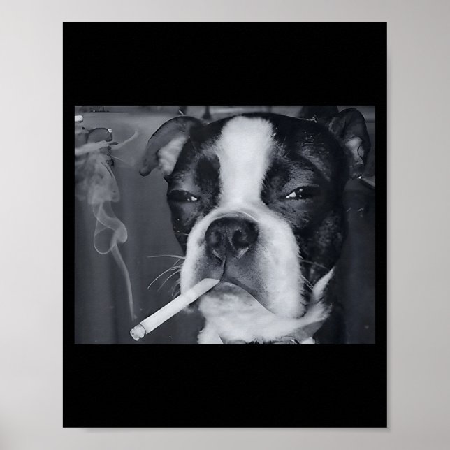 Póster Funny Smoking Dog Meme Cigarette Gen Z Meme Dog Lo (Frente)