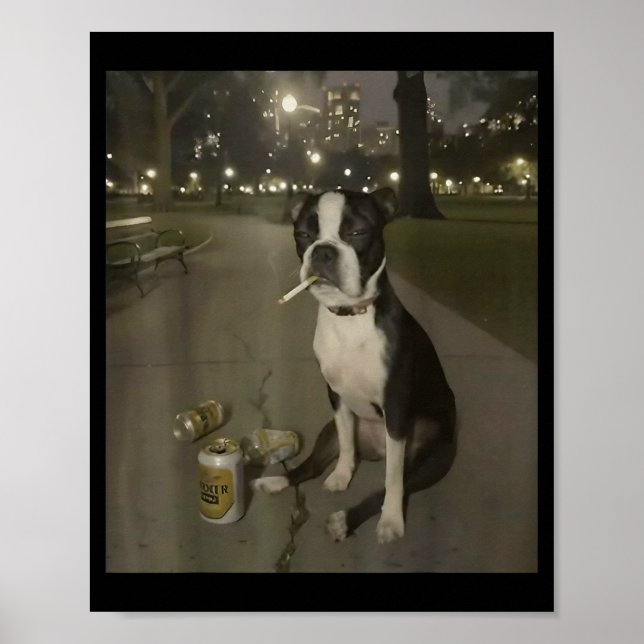 Póster Funny Smoking Dog Meme Cigarette Gen Z Meme Dog Lo (Frente)