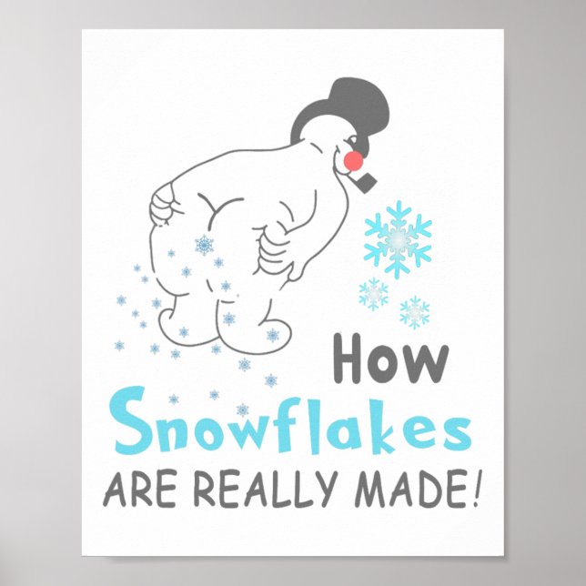 Póster Funny Snow How Snowflakes Are Really Made  (Frente)
