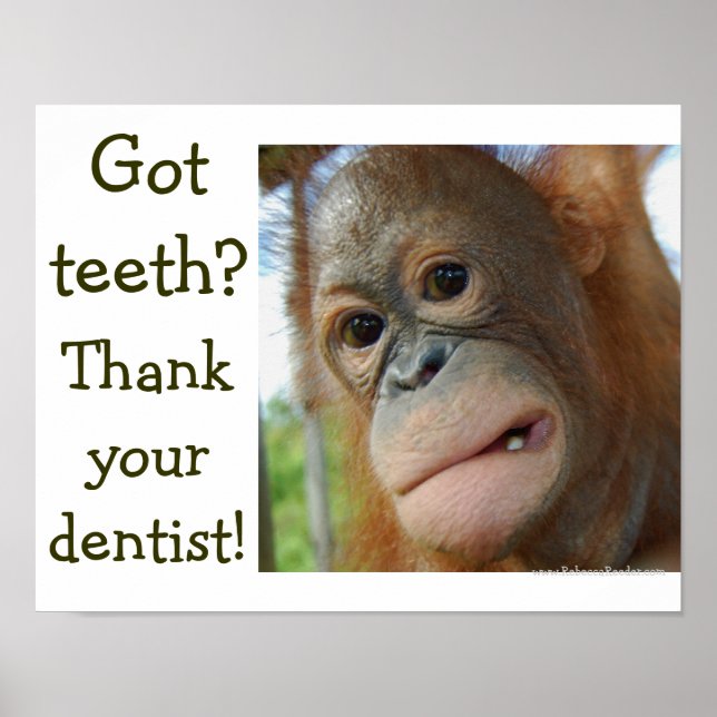 Póster Funny Teeth Humor solicitud especial (Frente)