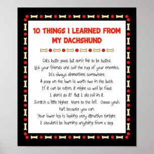 Póster Funny Things I Learned From My Dachshund