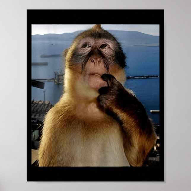 Póster Funny Thinking Monkey Meme Curious Ape Brainrot Gi (Frente)