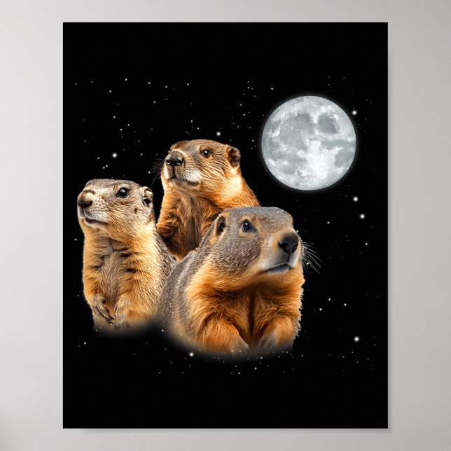 Póster Funny Three Groundhog Moon Groundhog Day  (Frente)