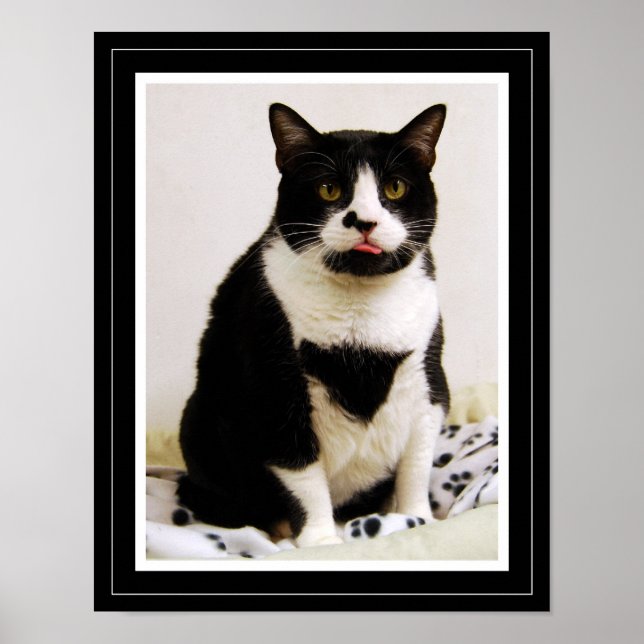 Póster Funny Tuxedo Cat Poster (Frente)