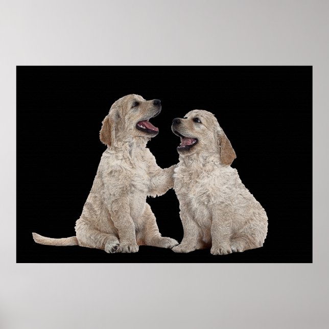 Póster Furry Companions 36 x 24 Poster (Frente)