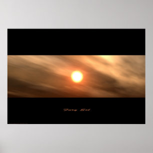 Póster Fury Sol