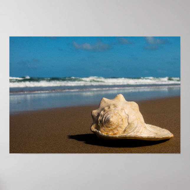 Póster Future Beach (Frente)