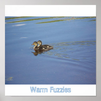 Póster Fuzzies cálidos
