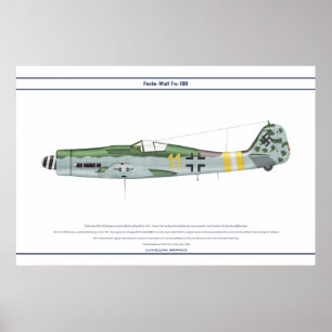 Póster Fw-190 D-9 JG2 1