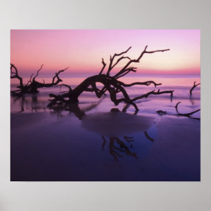 Póster GA Isla Jekyll, cementerio de árboles en la playa 