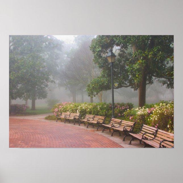 Póster GA Savannah, Azaleas along brick sidewalk and (Frente)