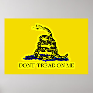 Póster Gadsden (Dont Tread On Me) Flag Specialty Flag