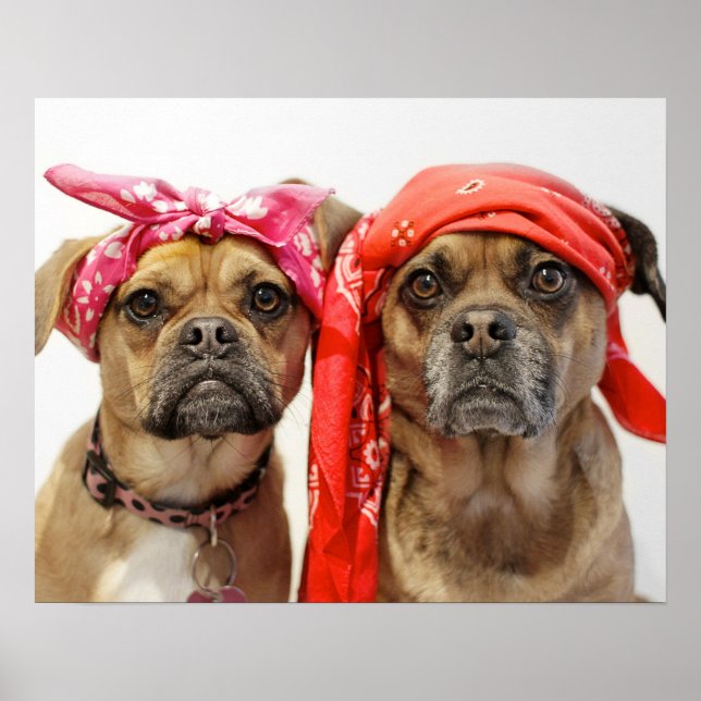 Póster gafas (Frente)