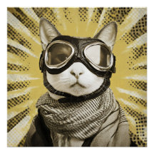 Gafas de aviador para gatos Estallido solar Retrat
