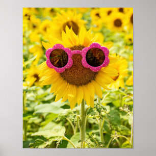 Póster Gafas de sol en girasol