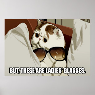 Póster Gafas fabulosas Poster de gatos (pt. 1)