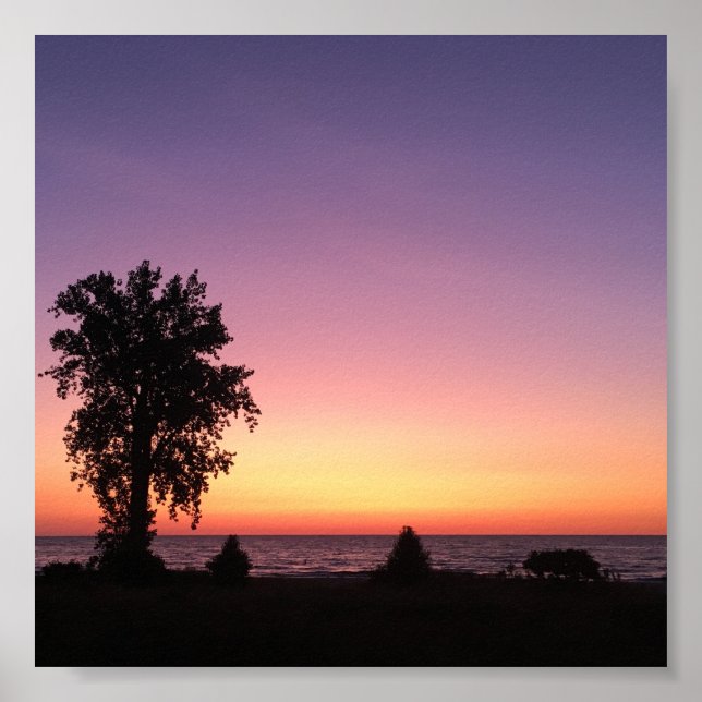 Póster gala (Frente)