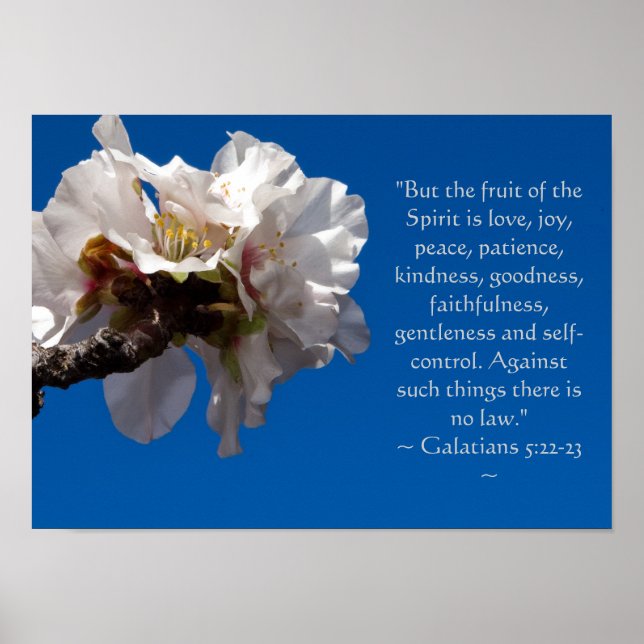 Póster Galatianos 5:22,23 Poster (Frente)