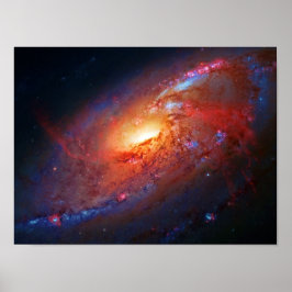Póster Galaxia espiral, belleza venatici cana en el espac