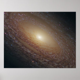 Póster Galaxia espiral de NGC 2841