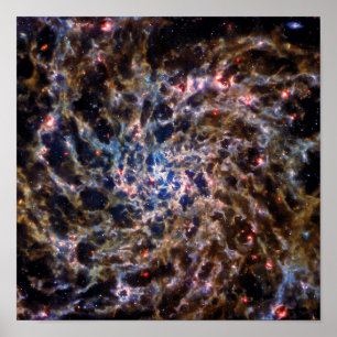 Póster Galaxia espiral del telescopio espacial James Webb