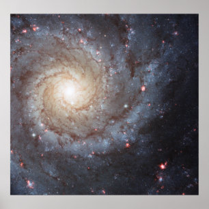 Póster Galaxia espiral M74