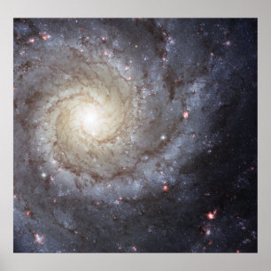 Póster Galaxia espiral M74
