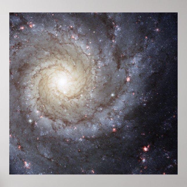 Póster Galaxia espiral M74 (Frente)