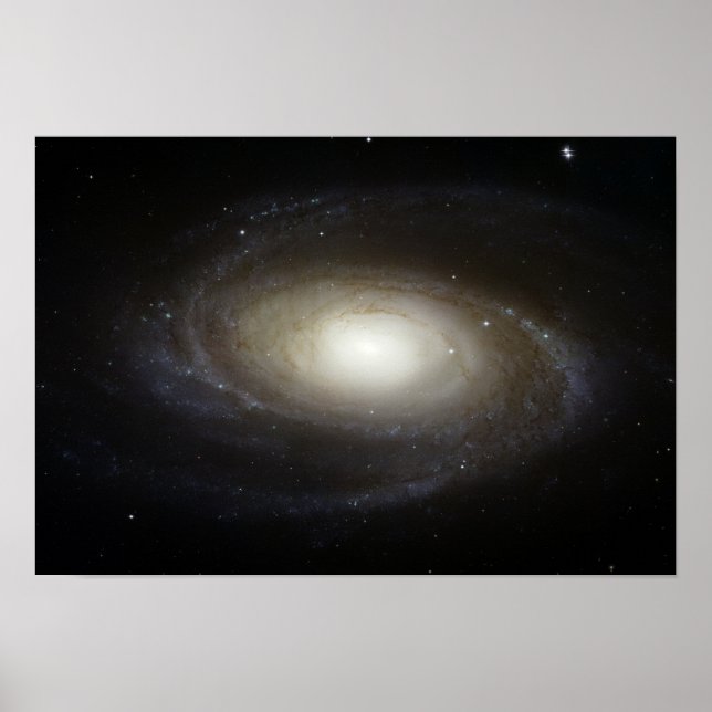 Póster Galaxia espiral M81 (Frente)
