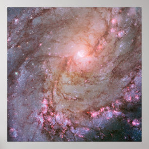 Póster Galaxia espiral M83, Ablaze Con Formación Estrella