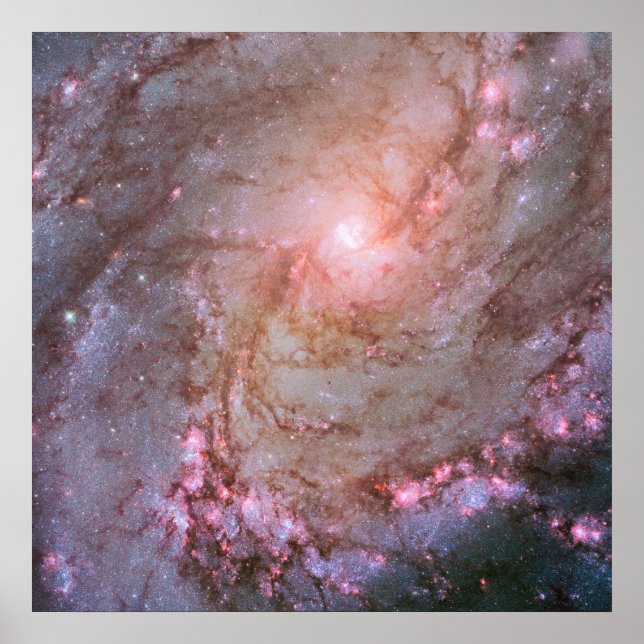 Póster Galaxia espiral M83, Ablaze Con Formación Estrella (Frente)