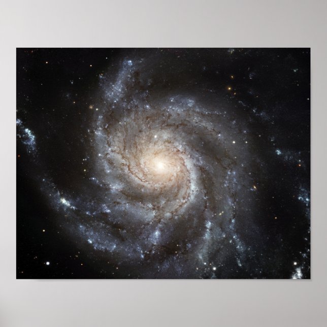 Póster Galaxia espiral Messier 101 (Frente)