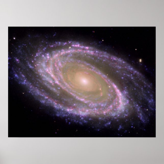 Póster Galaxia espiral Messier 81 (Frente)