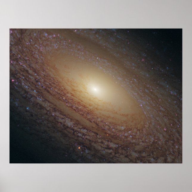 Póster Galaxia espiral NGC 2841 (Frente)