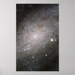 Póster Galaxia espiral NGC 300.