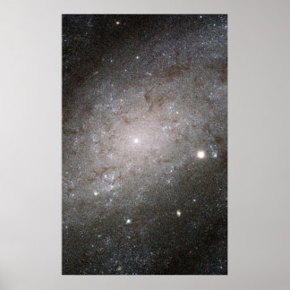 Póster Galaxia espiral NGC 300.