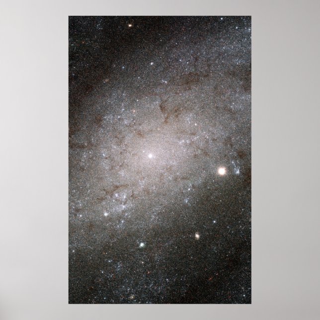 Póster Galaxia espiral NGC 300. (Frente)