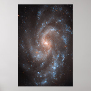 Póster Galaxia Espiral Ngc 5584