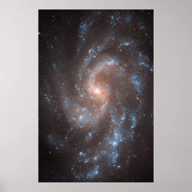 Póster Galaxia Espiral Ngc 5584 (Frente)