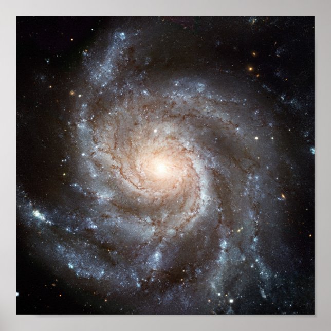 Póster Galaxia M101 (Frente)