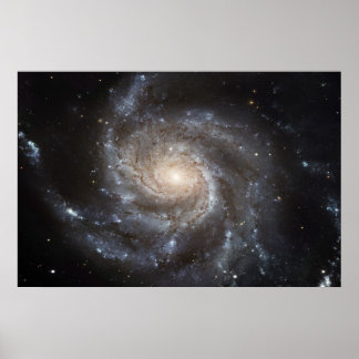 Póster Galaxia PinWheel M101 78x52 (57x38)
